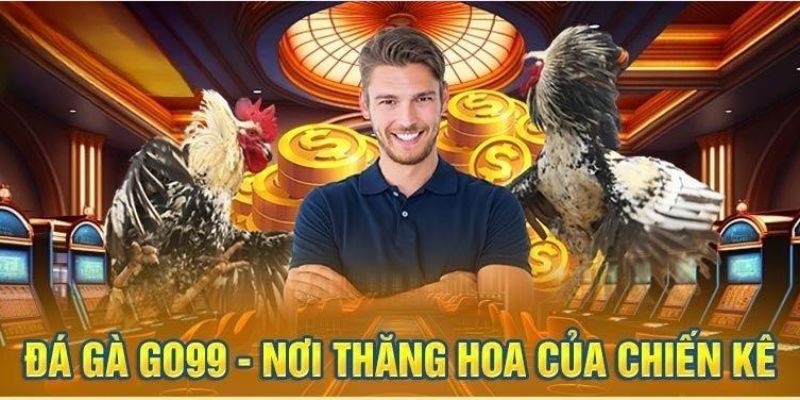 Chọi kê siêu kinh điển tại GO99