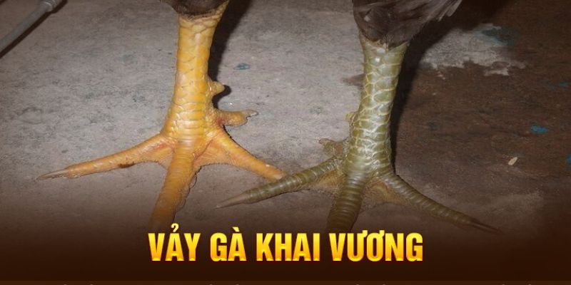 Những loại vảy quý hiếm bậc nhất hiện nay 